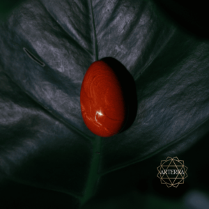 red jasper size yoni egg M undrilled