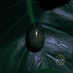 Aventurine yoni egg size M undrilled