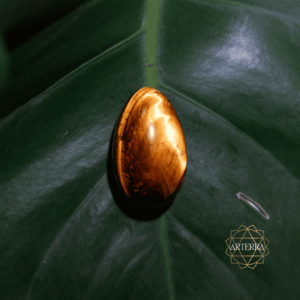 Tiger eye yoni egg size M undrilled