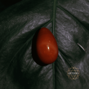 Carneol yoni egg size M undrilled