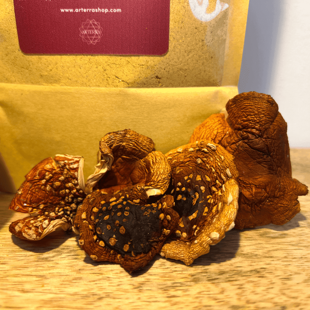 50 Gram Amanita Muscaria Fly Agaric Powder