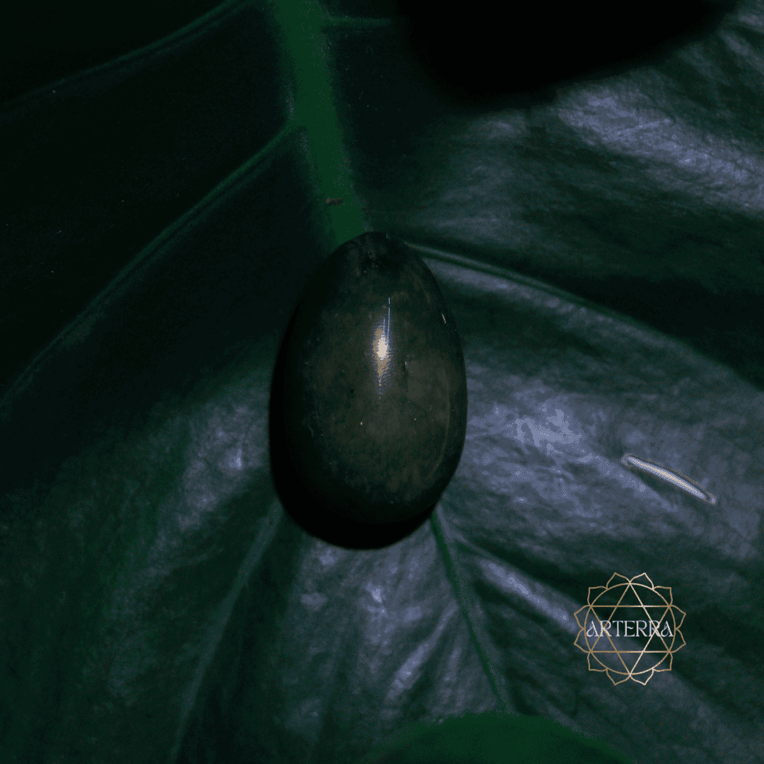 Aventurine yoni egg size M undrilled