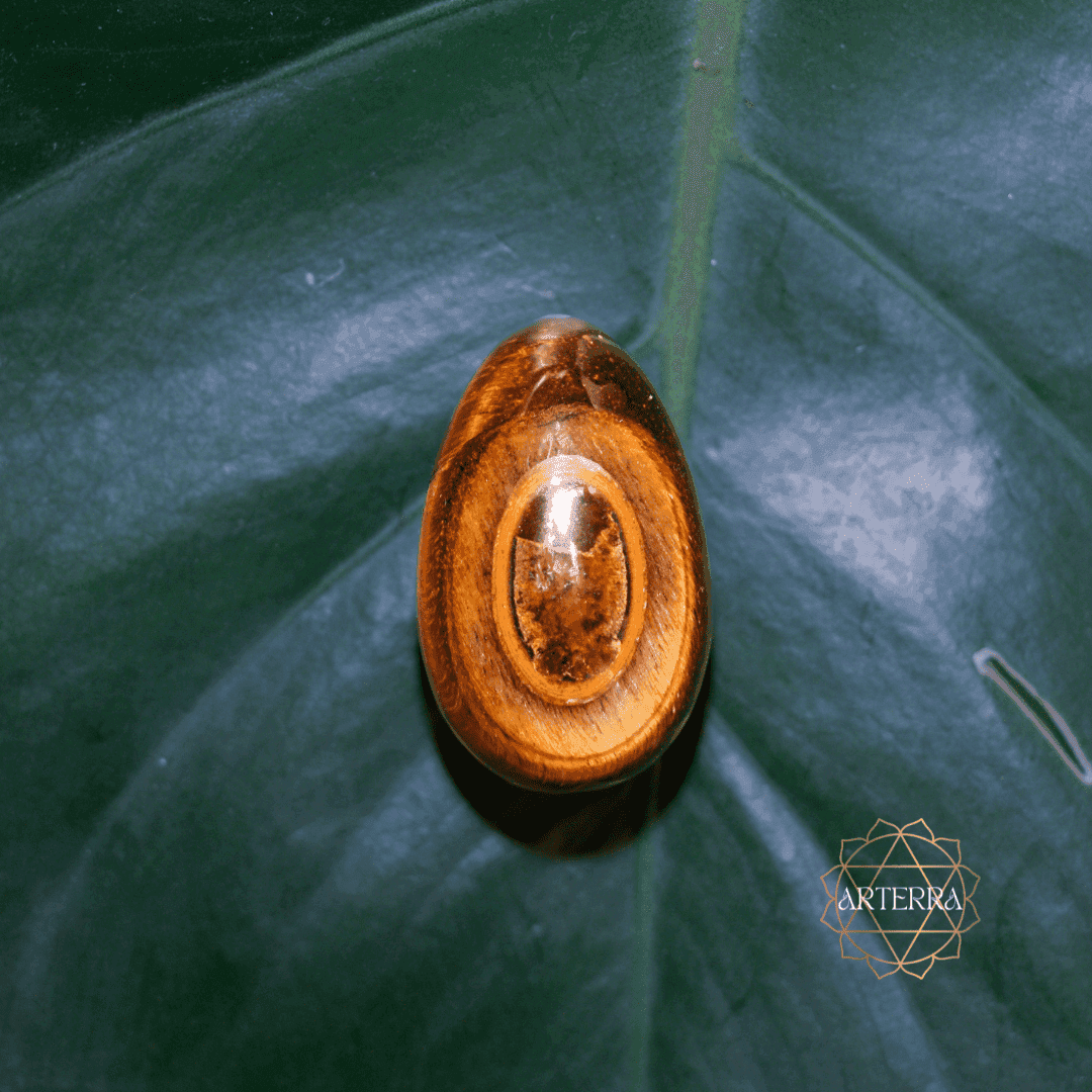 Tiger eye yoni egg size M undrilled
