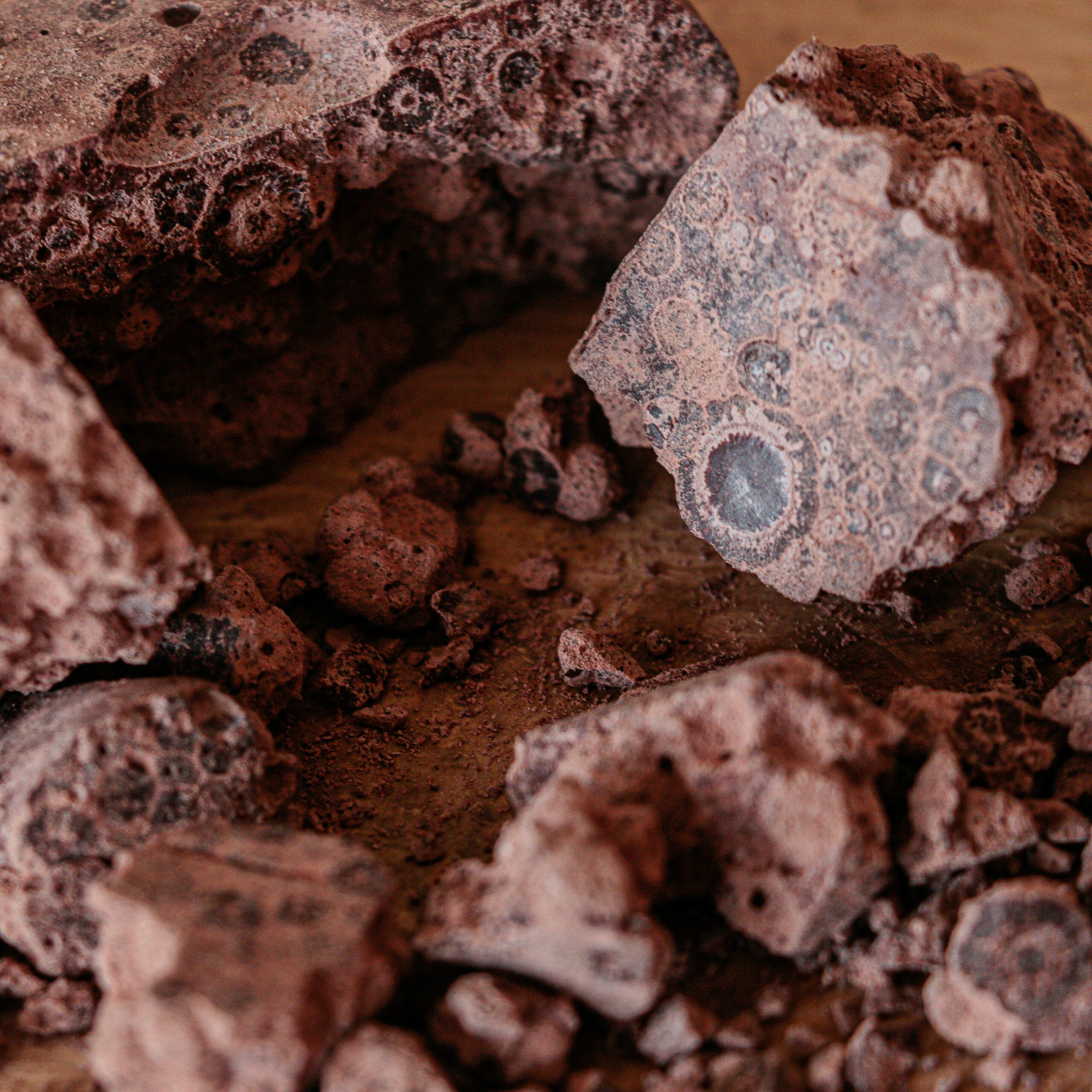 ARTERRA Ceremonial Cacao Criollo Blanco